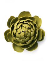 Chive wandbloem Chartreuse Queen Protea EG46