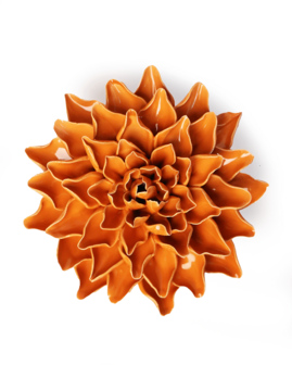 Chive wandbloem Oranje herfstazalea EG40