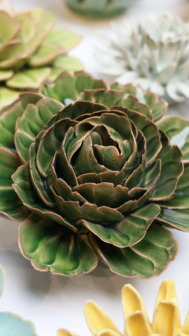 Chive wandbloem Avocado Groene Rozella Pioenroos EG05