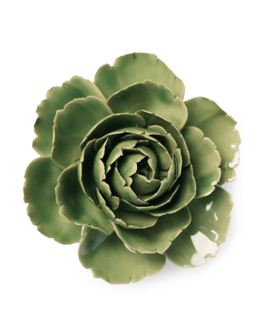 Chive wandbloem Jadegroene Engelse roos EG30