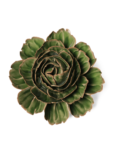 Chive wandbloem Avocado Groene Rozella Pioenroos EG05
